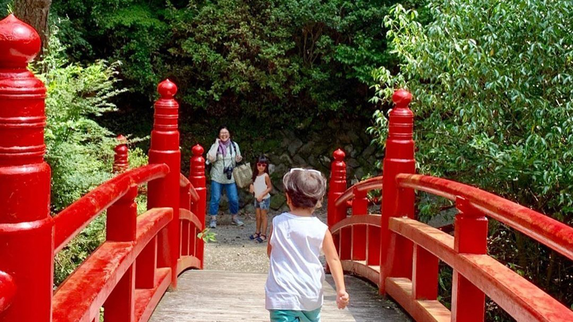 【夏】神秘的な新緑の遊歩道で森林浴はいかがでしょうか？