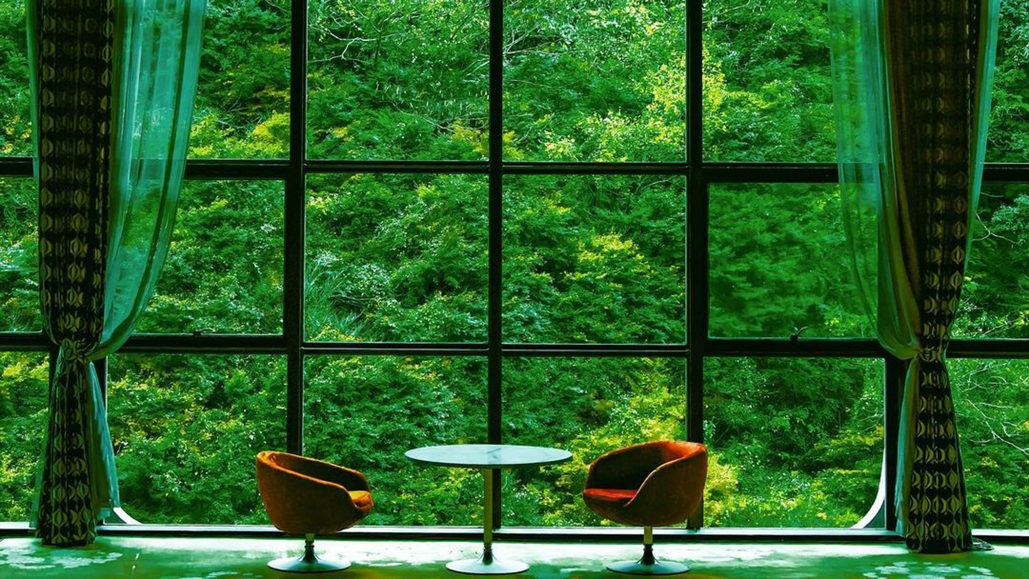 【夏】開放的な大きな窓から臨む新緑の景色にうっとり。