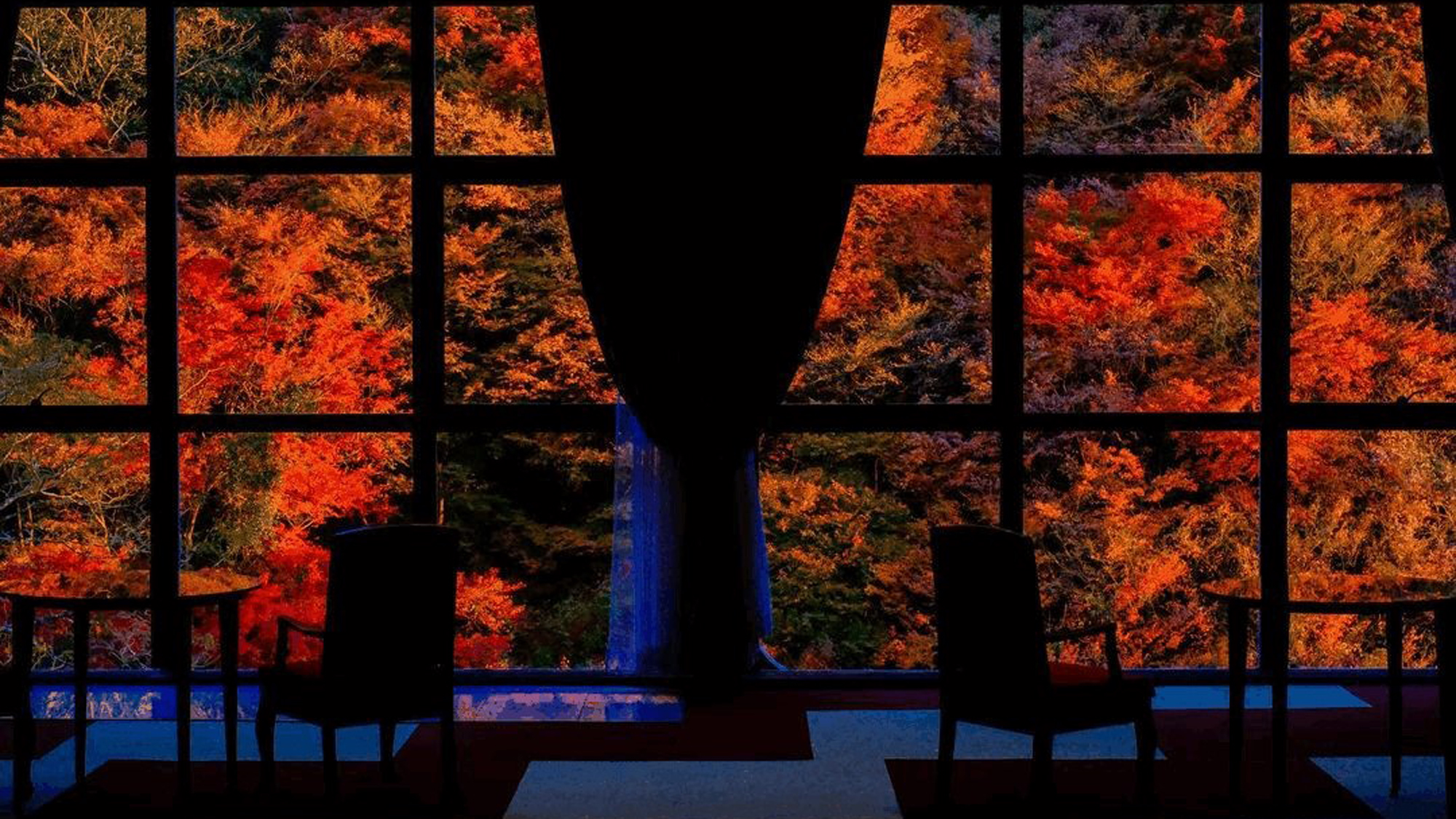 【秋】幻想的な空間と色鮮やかな紅葉の景色に見惚れる事間違いなし！