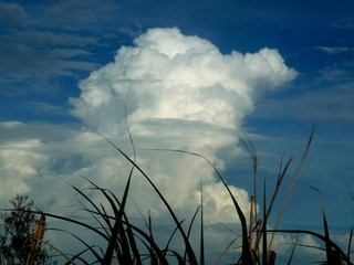 夏の雲