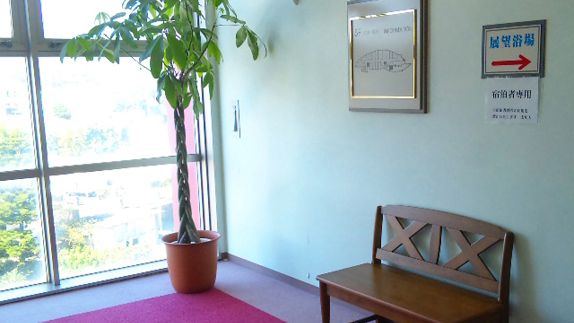 ・【5階ホール】大きな窓から光が差し込む、緑と木の温もりに包まれた空間でベンチでひと休み