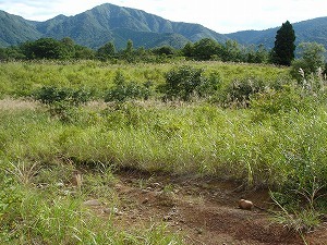 和田山5