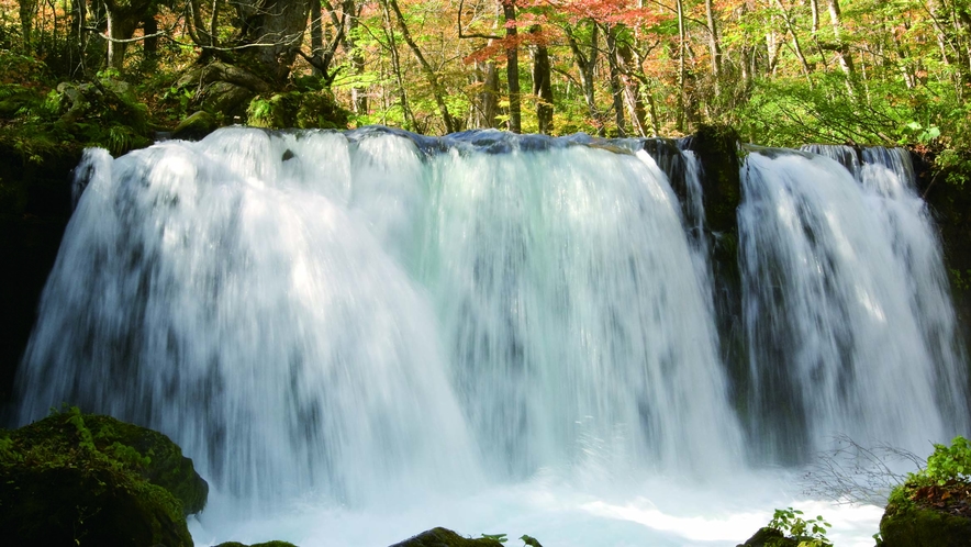 【奥入瀬渓流】　渓流沿いに点在する滝の一つ、「銚子大滝」の様子です。