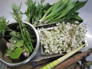 山菜採って夕食で食べれるガイドつき山菜料理プラン
