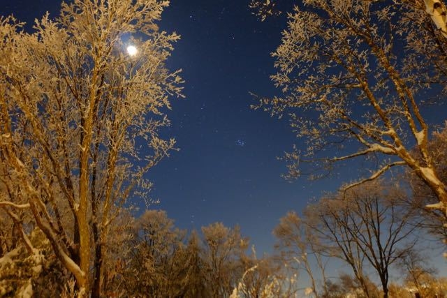 流れ星に天の川☆手が届きそう！満天の星空体感プラン