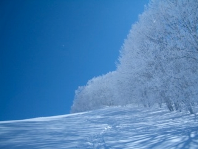 樹氷の美しい冬の景色