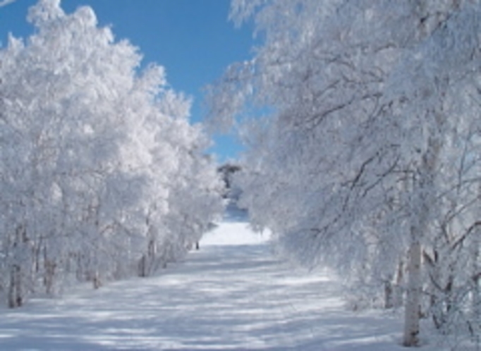 雪景色