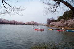 臥竜公園