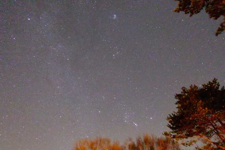 星降る夜とはまさにこのこと