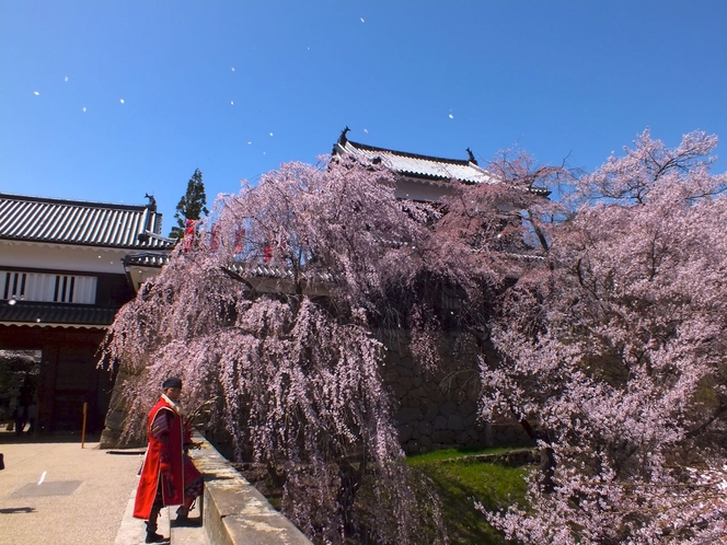 上田城址公園・櫓門と桜