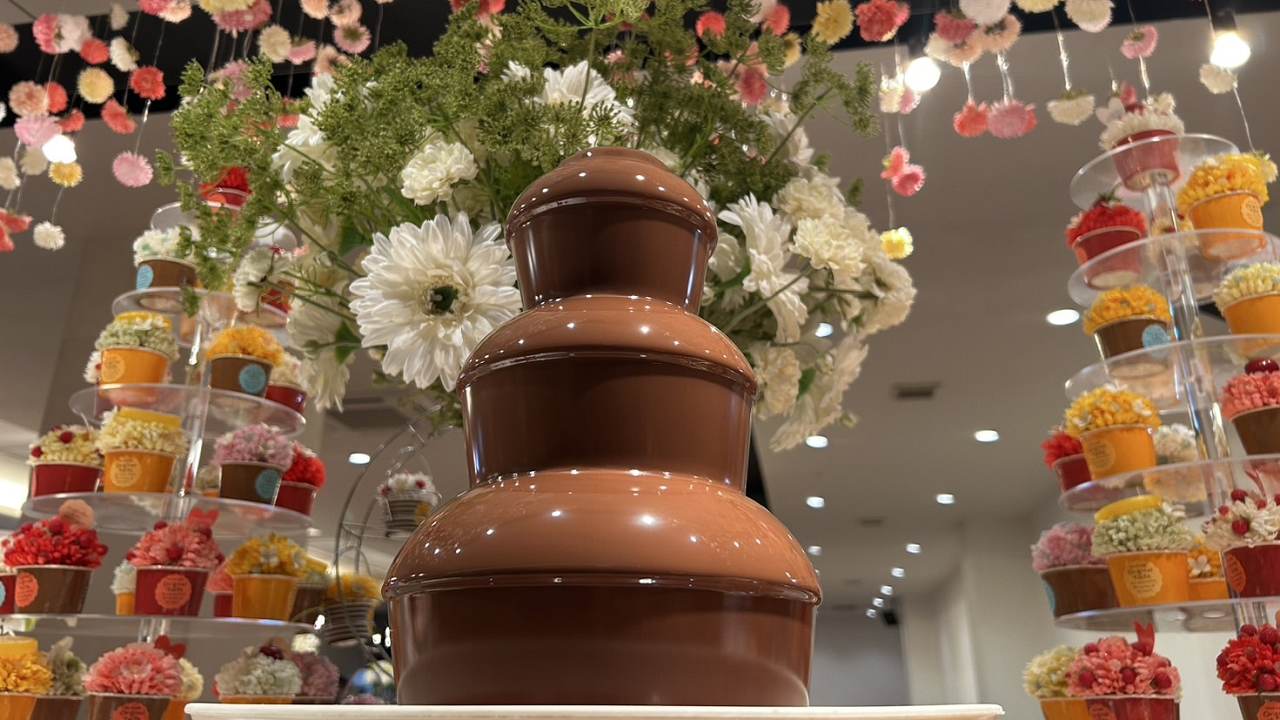 チョコレートファウンテン　バイキングデザート一例
