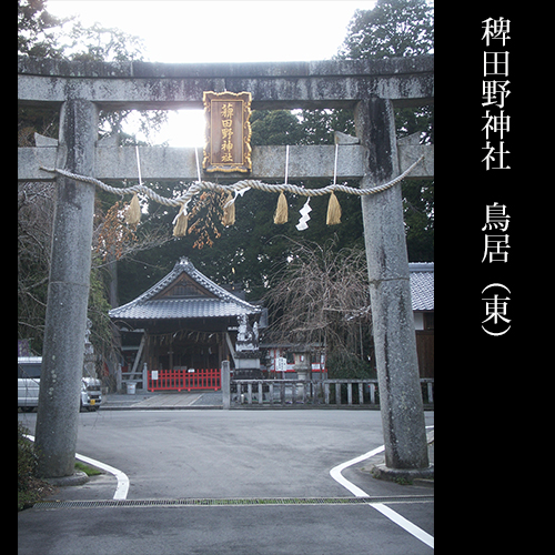 ▲稗田野神社　東鳥居