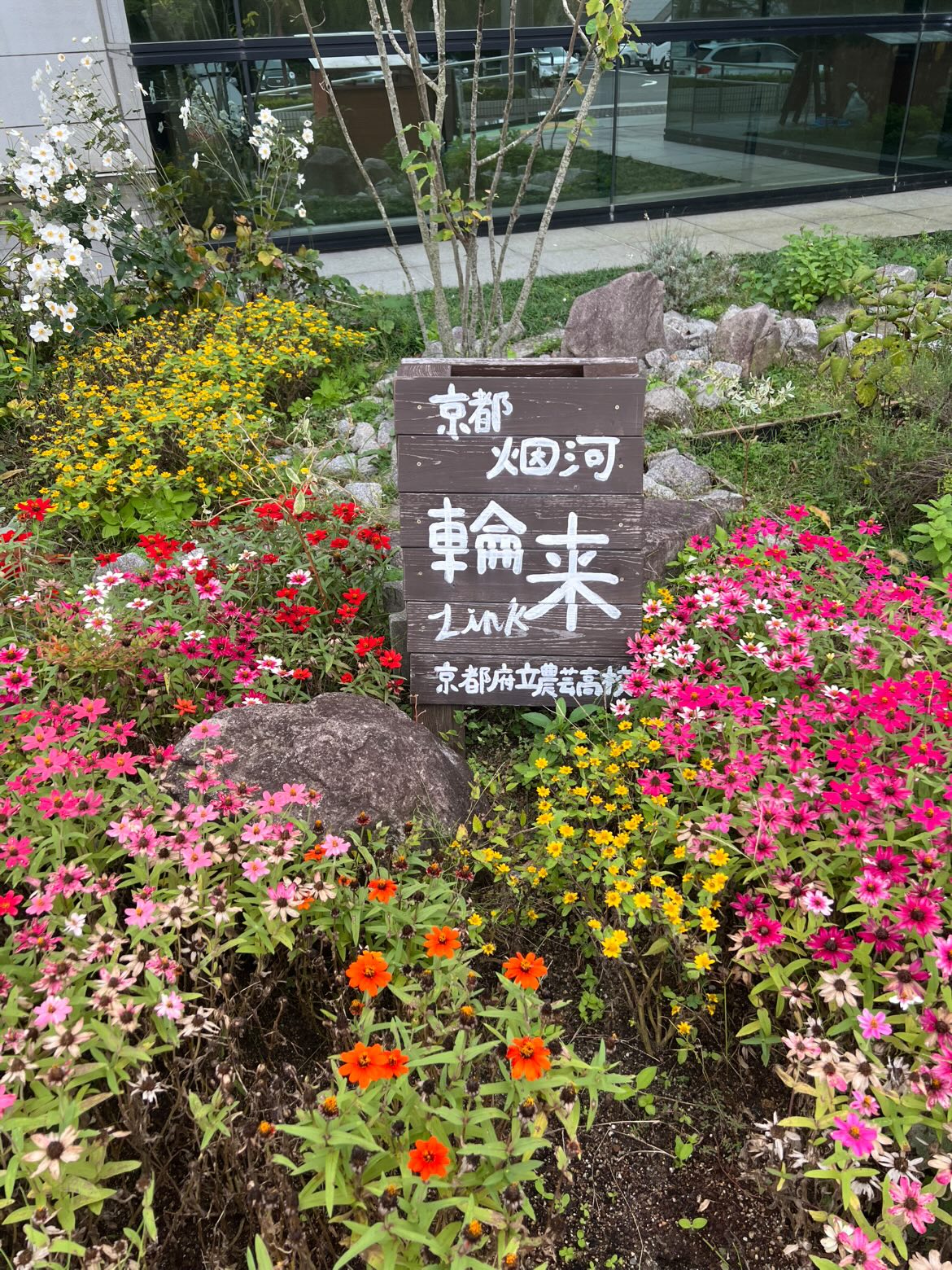 ウェルカムフラワー