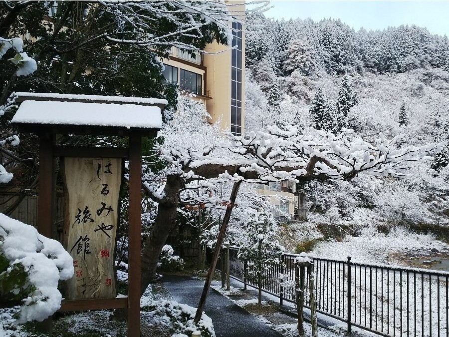 はるみや旅館　正面玄関