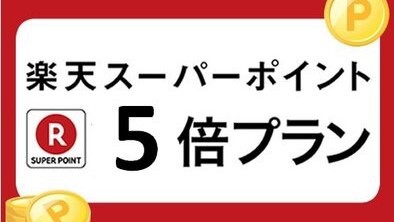 ★楽天ポイント5倍★プラン（素泊り）【駐車場無料】＊送迎車(金曜夜〜月曜朝)運休