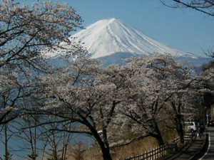 富士山