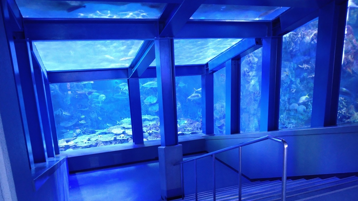 【ナイトアクアリウム限定チケット付】鳥羽水族館貸切・3days限定プレミアムナイト（夕朝食付）