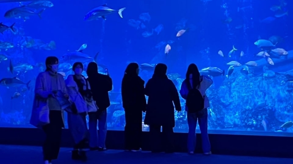 【ナイトアクアリウムチケット付】鳥羽水族館貸切3days限定（共同運行バス利用希望）（1泊朝食付）