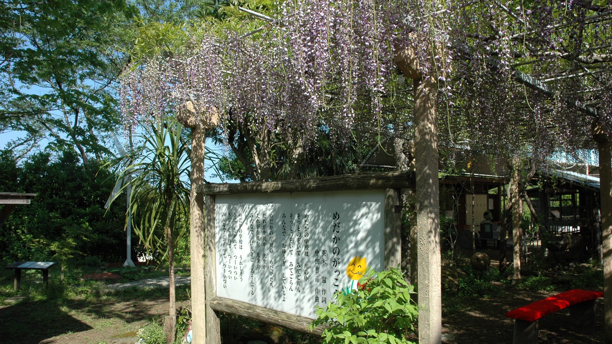 藤の花