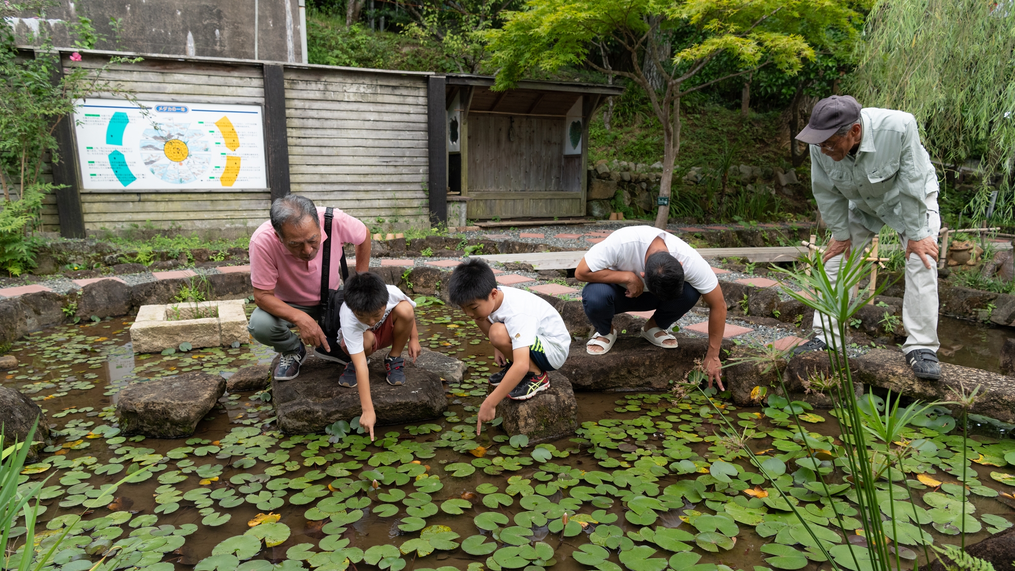 めだか池で自然観察♪新発見があるかも？