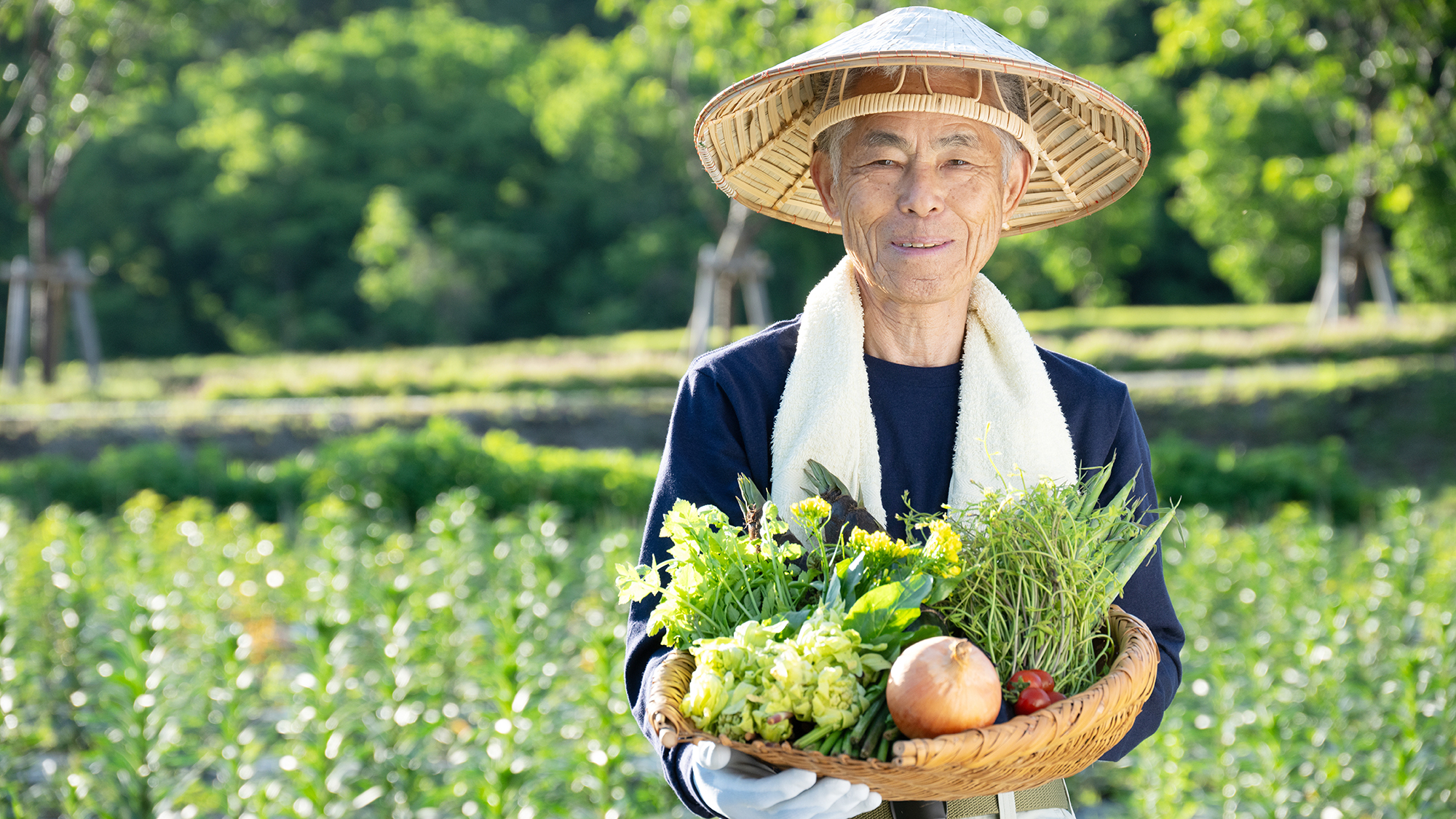 【朝どれ野菜】