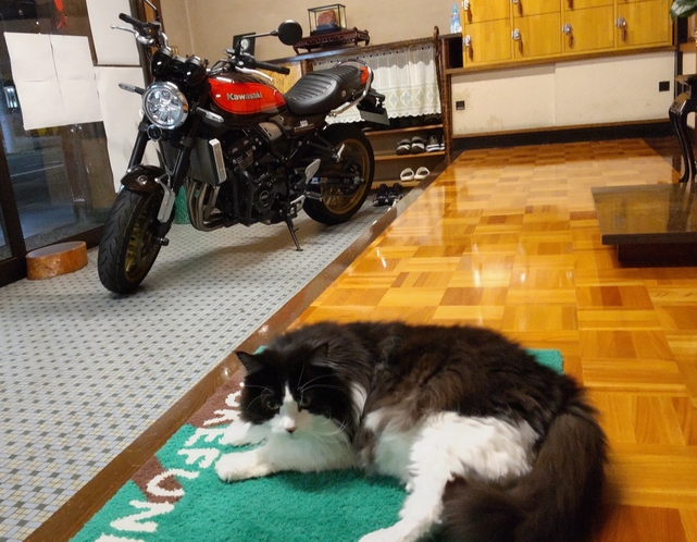 バイクは屋内駐車場です。