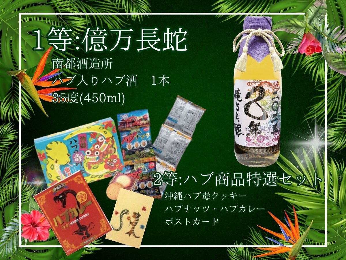 琉球ハブボール＆くじ付きプラン【朝食付】