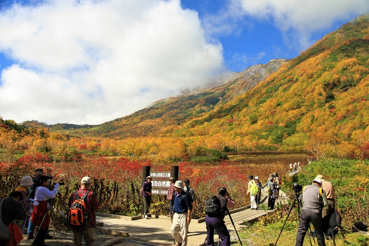 紅葉の栂池自然園