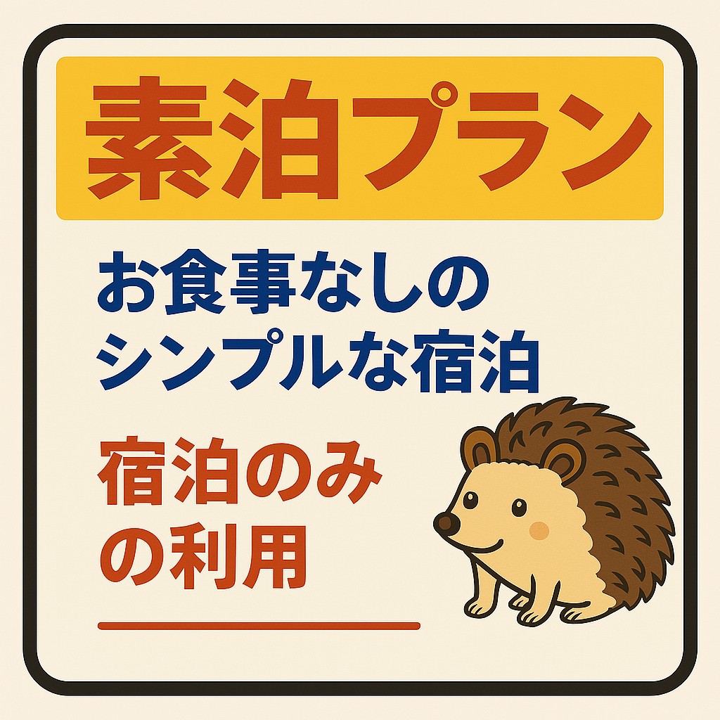 素泊まりプラン　※ＮＨＫ映りません