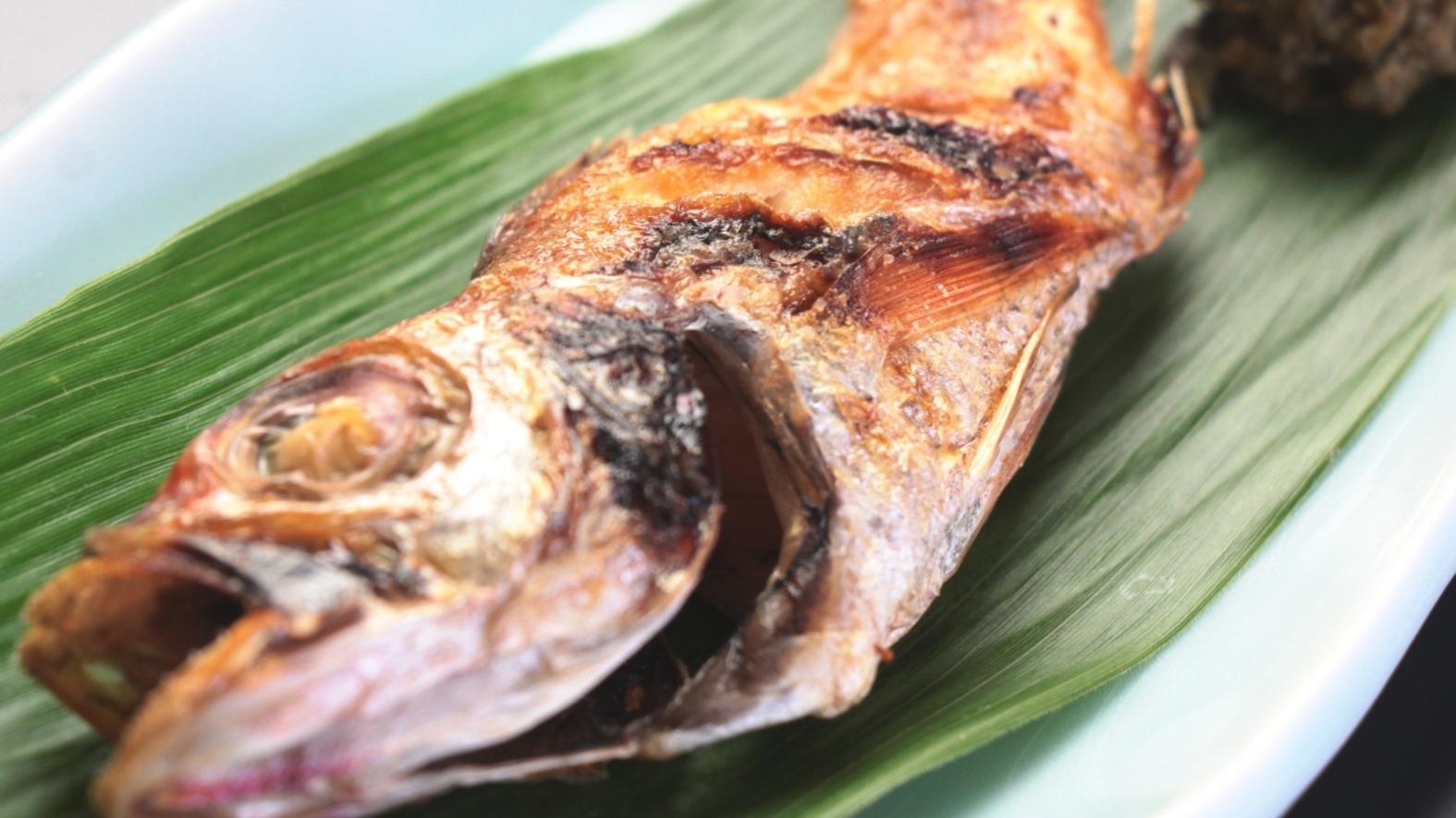 【高級魚のどぐろ付】日本海究極の味覚！高級魚を贅沢に味わう創作会席《のどぐろ会席》1泊2食付