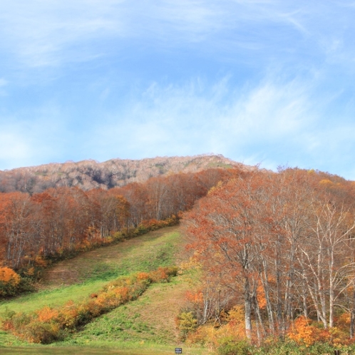 スカイケーブル山頂_紅葉