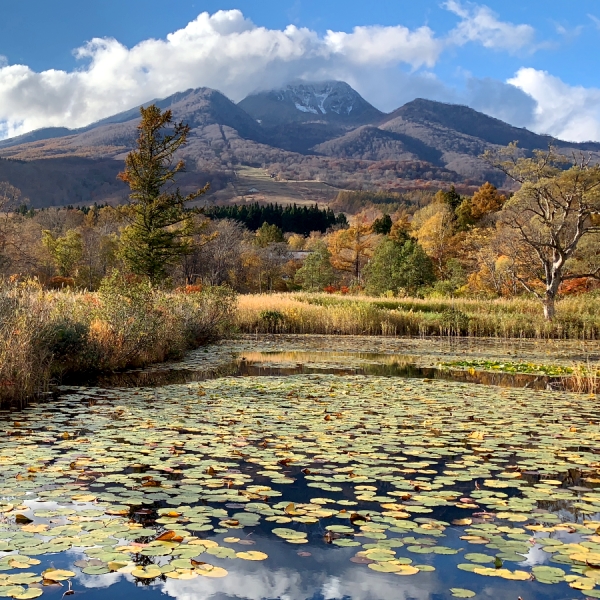 秋の妙高山