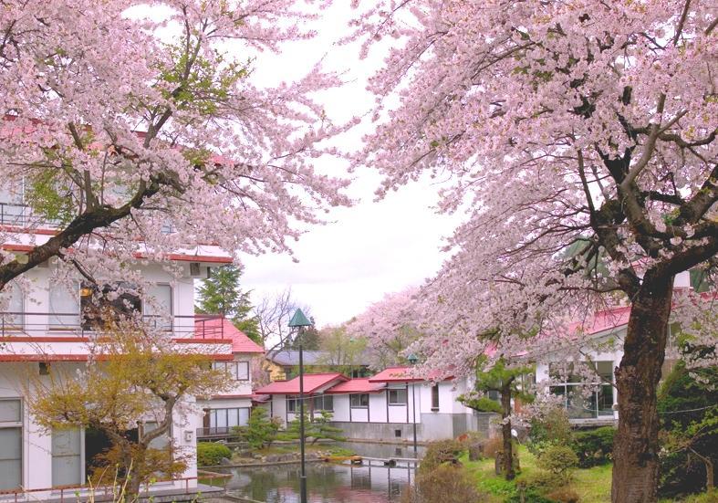 【春季限定】料理長おまかせの桜御膳コースで旬の味覚を満喫♪〜夕朝食半個室〜