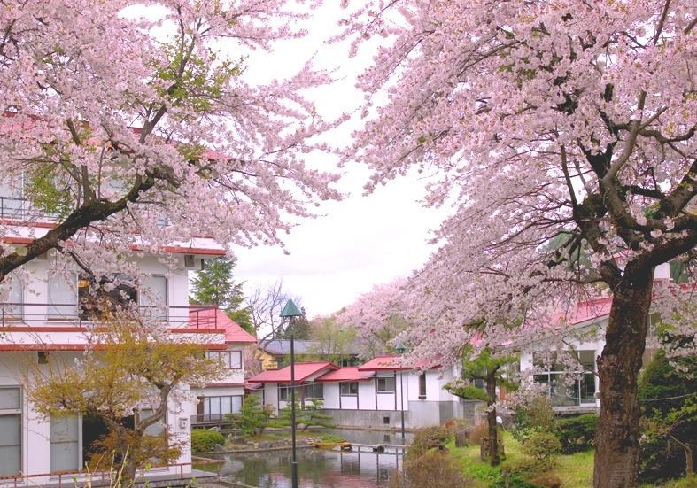 【春季限定】料理長おまかせの桜御膳コースで旬の味覚を満喫♪〜夕朝食半個室〜