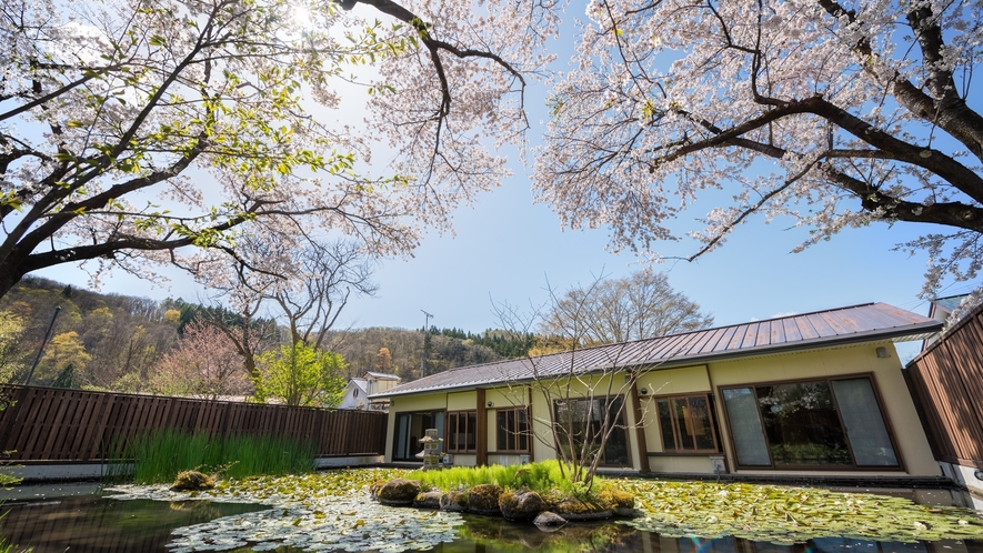 【ジュニアスイート】温泉露天風呂付●桜の花見部屋！夜はﾗｲﾄｱｯﾌﾟで夜桜！