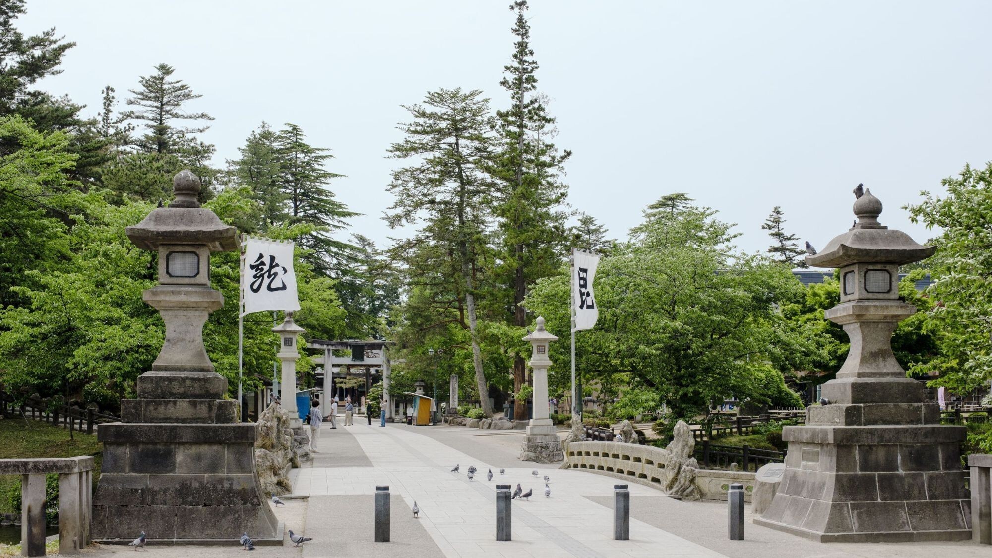 【周辺観光】松が岬公園・上杉神社＜春＞