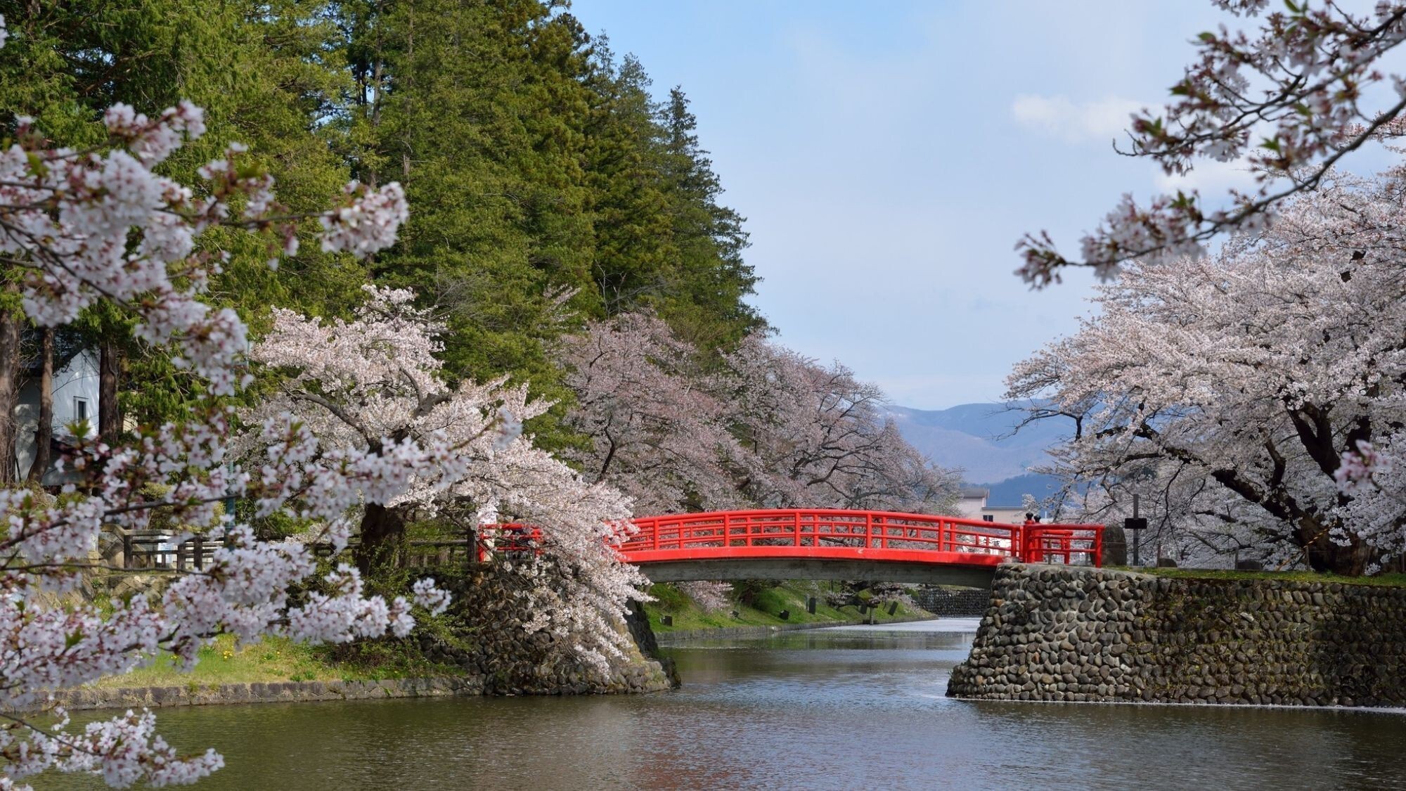 【周辺観光】松が岬公園・上杉神社＜春＞