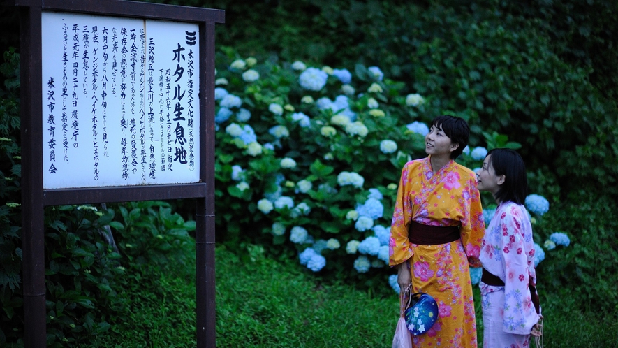 小野川温泉のホタル観賞♪