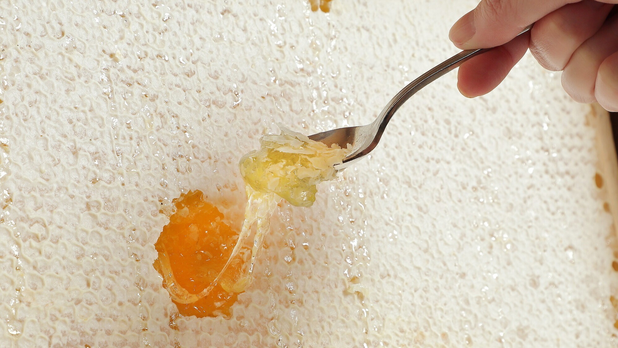 【朝食ビュッフェ】百花園養蜂の「滴り落ちる巣枠蜂蜜」の疑似収穫体験も