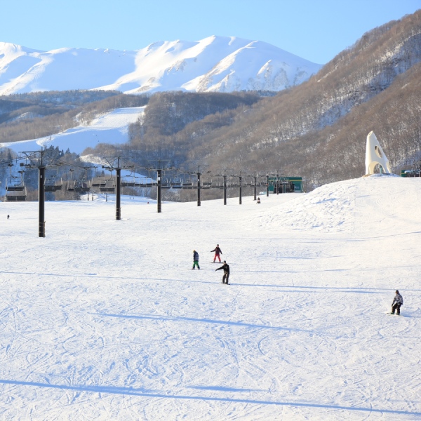 写真2