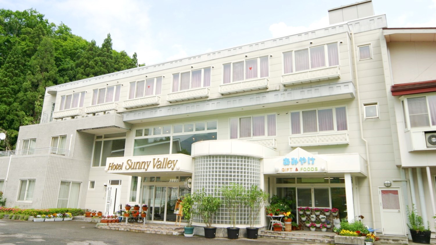 写真1