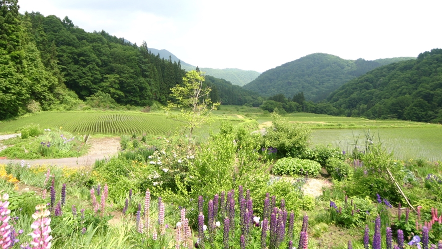 ホテルからの景色は絶景です。