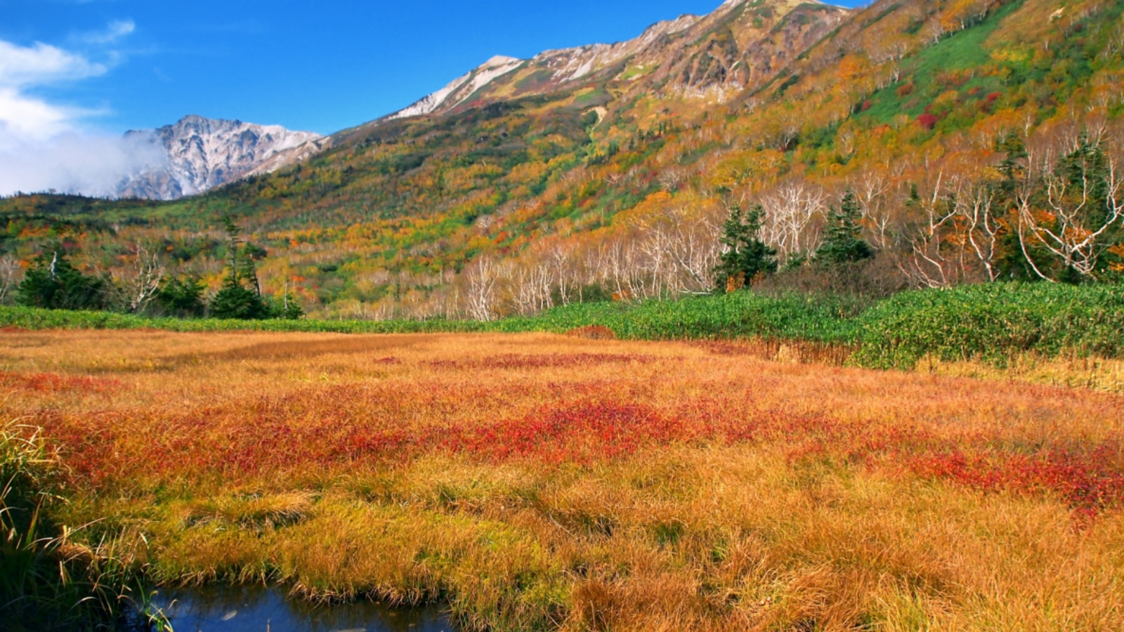 栂池自然園 紅葉の白馬乗鞍岳