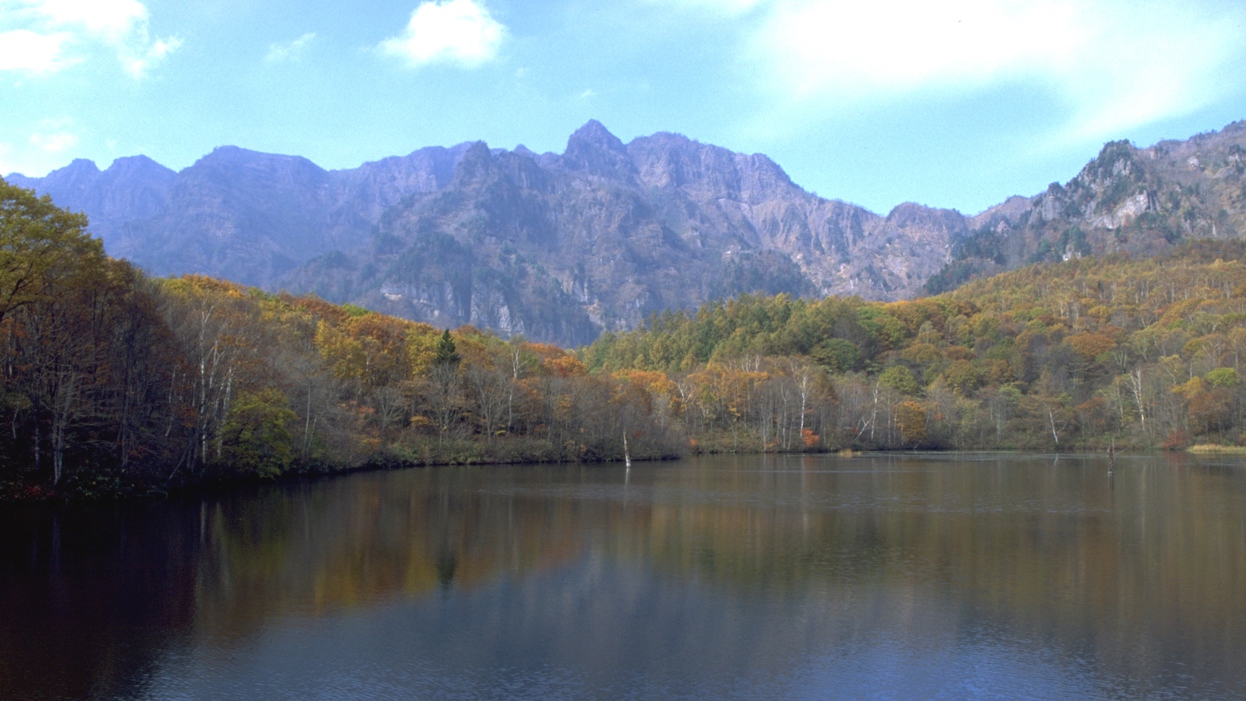写真7