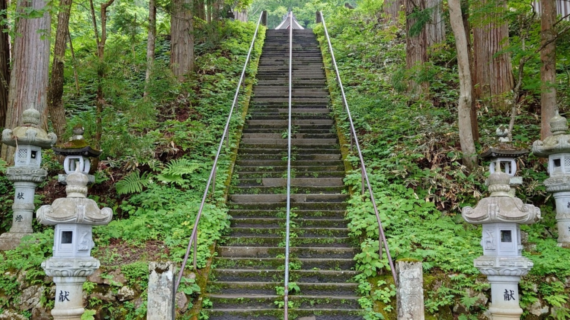 戸隠神社参道。一歩ごとに心が整う、戸隠神社の奥へと続く道