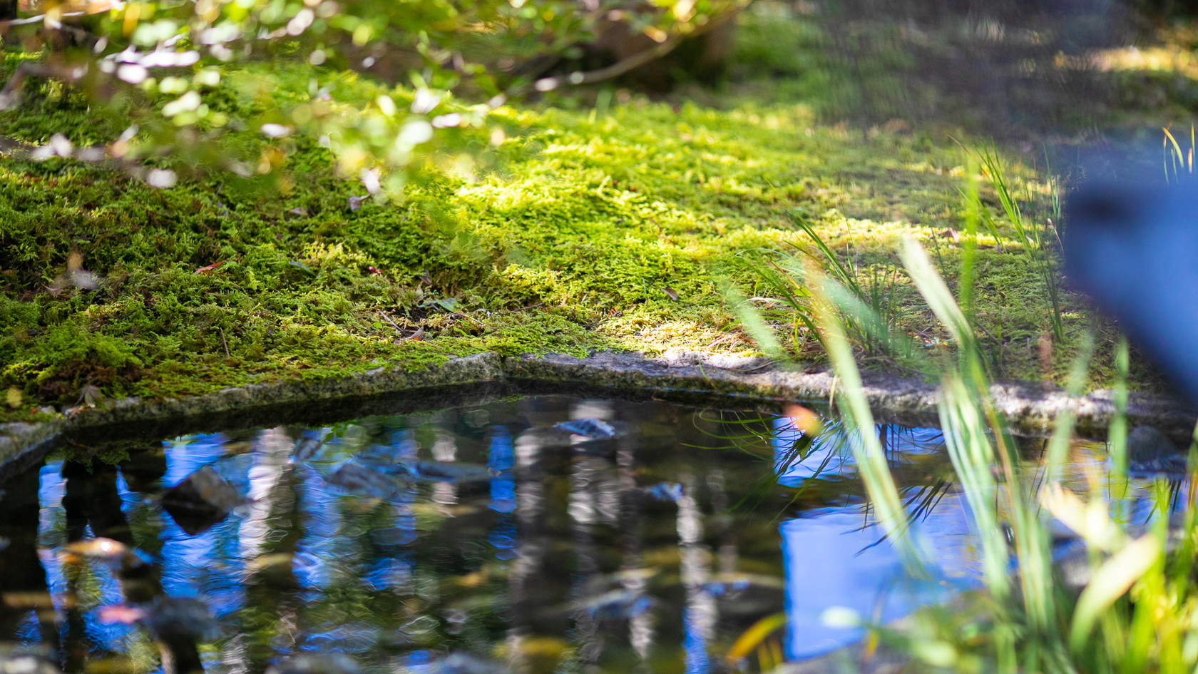 陽の光を浴びて輝く美しい中庭