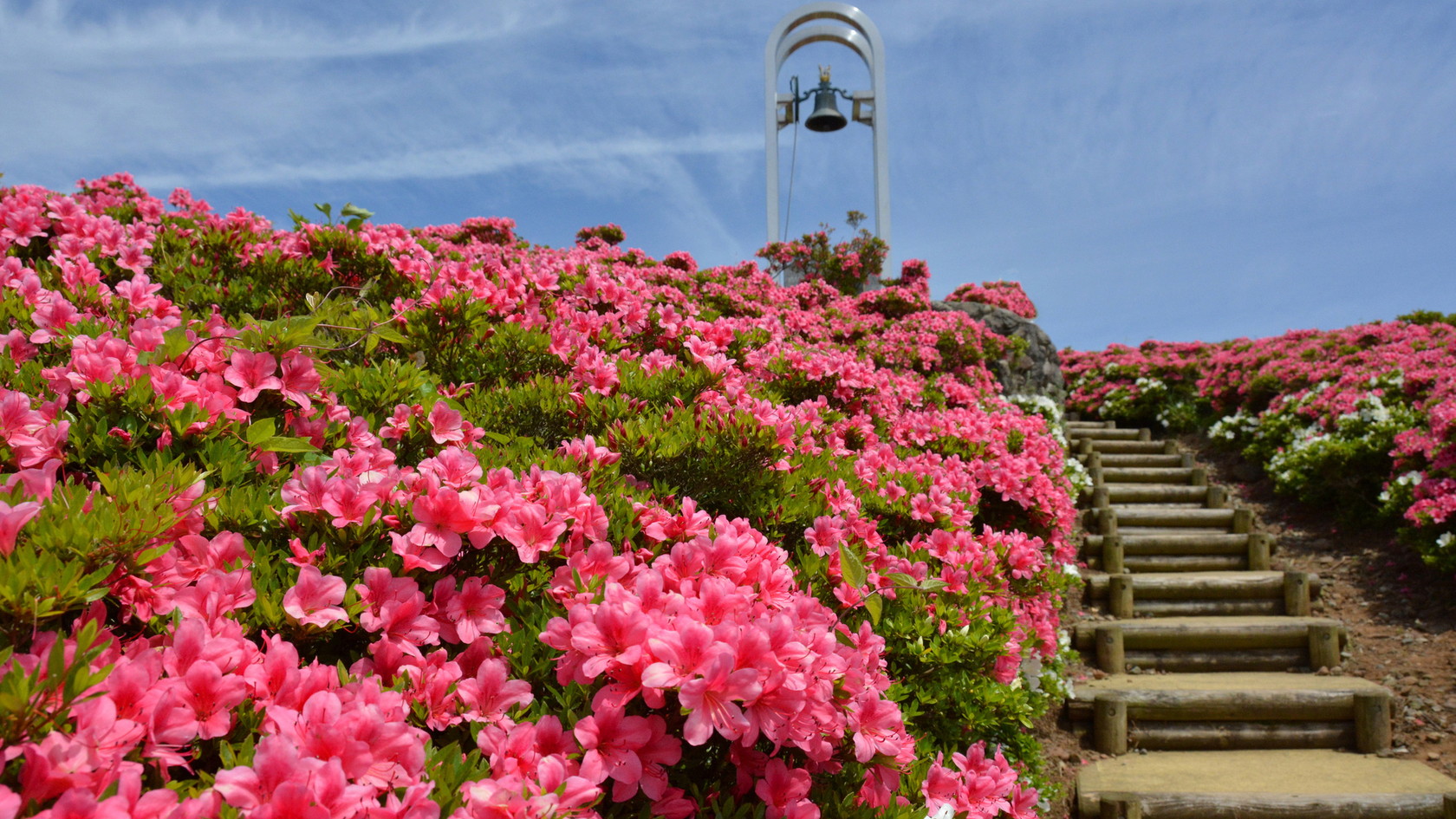 星ヶ山公園 さつきの郷