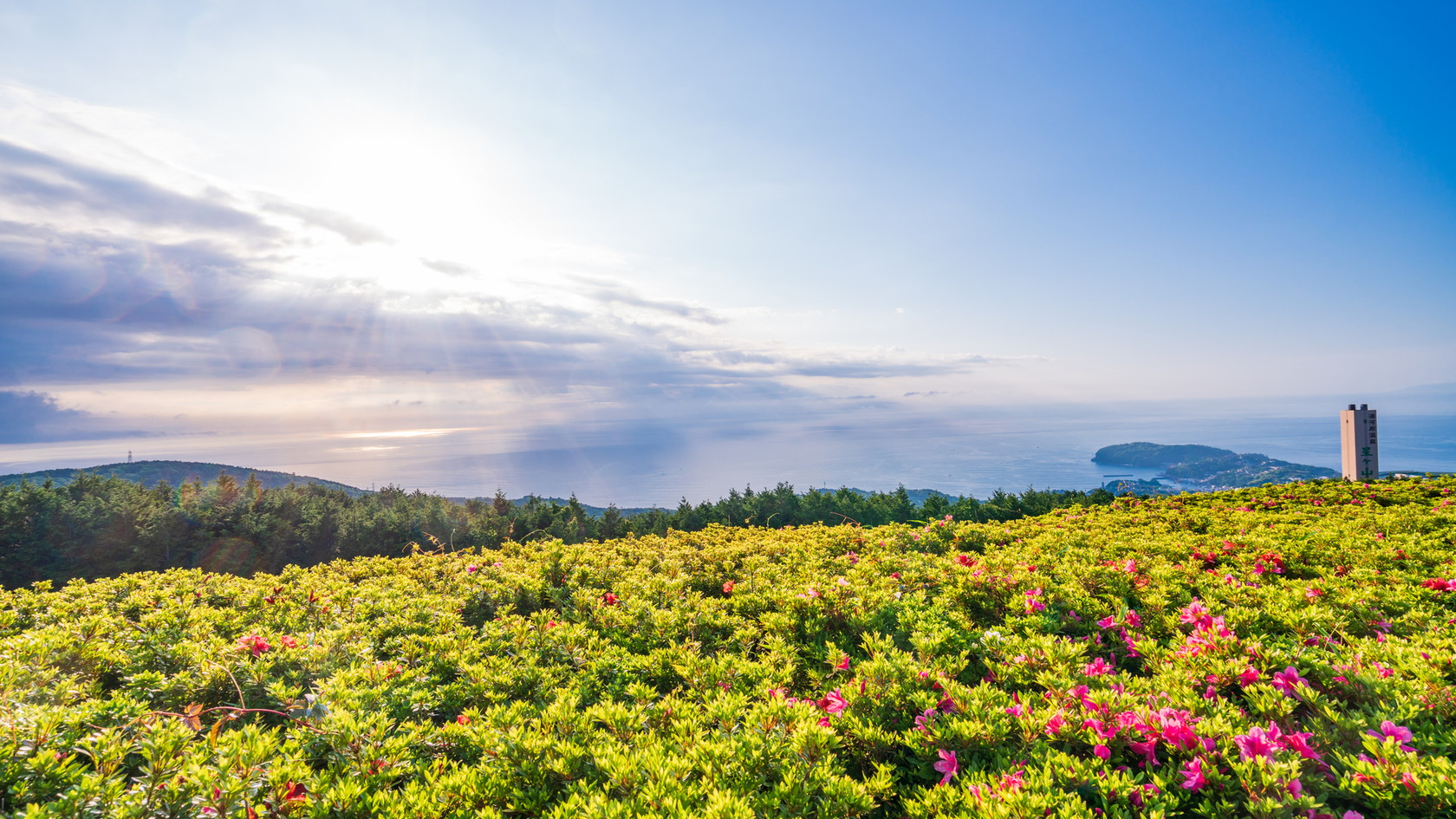 湯河原さつきの郷