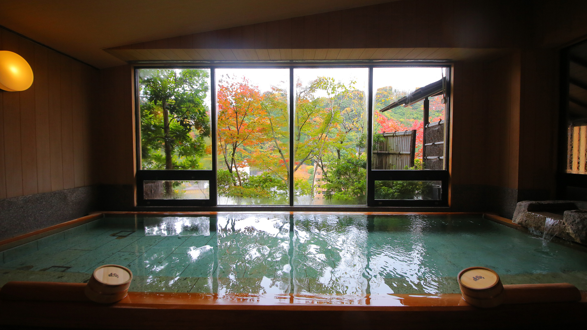 緑と光が寄り添う、穏やかな内湯の空間