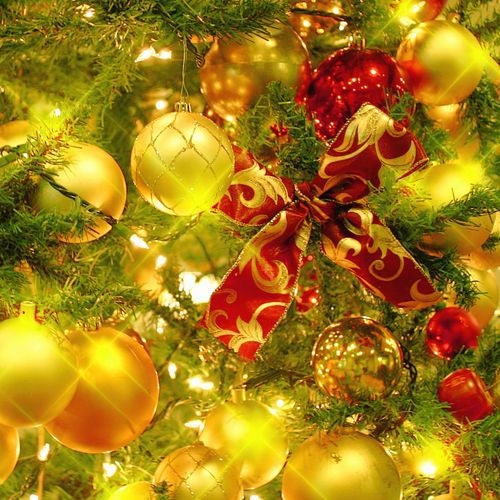 【クリスマスプラン】クリスマスケーキ付き♪